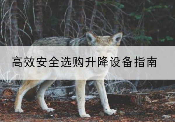 潢川升降货梯厂家推荐-*安全选购升降设备指南