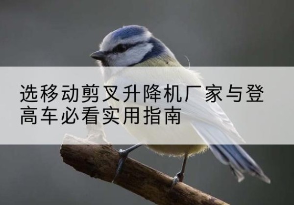 潢川电动升降机厂家-选移动剪叉升降机厂家与登高车必看实用指南