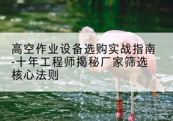 潢川剪叉式升降机厂家-高空作业设备选购实战指南-十年工程师揭秘厂家筛选核心法则